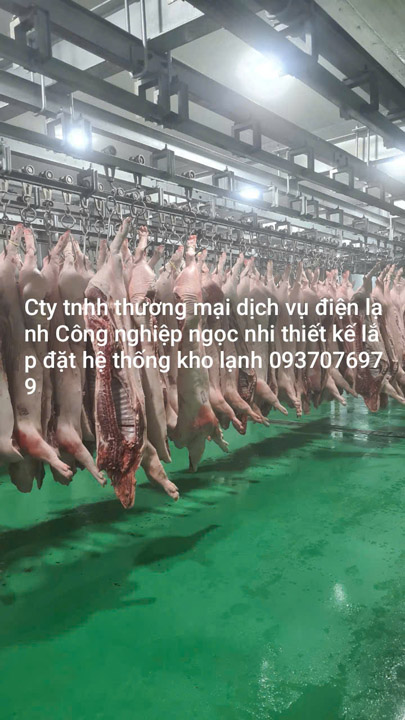 Thiết kế thi công lắp đặt hệ thống giết mổ gia súc