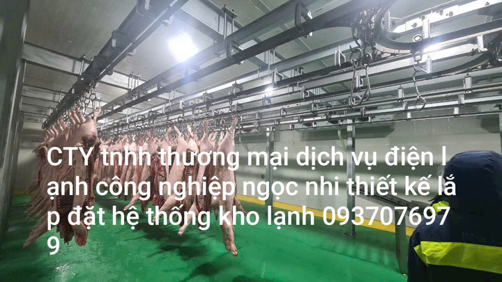 Thiết kế thi công lắp đặt hệ thống giết mổ gia súc