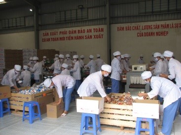Hình ảnh công ty Visaco