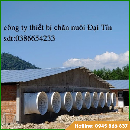 Thiết bị chăn nuôi - Thiết Bị Trang Trại Mạnh Đại Tín - Công Ty TNHH Sản Xuất Thiết Bị Trang Trại Mạnh Đại Tín