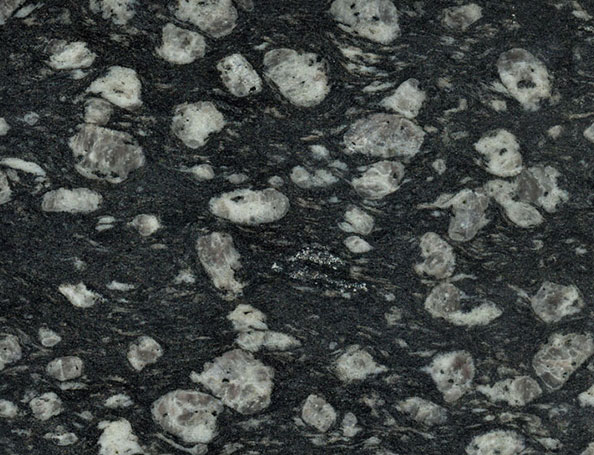 Đá granite Coin đen - Đá Granite Aryan - Aryan Tiles Company