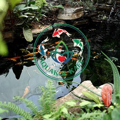Aqua koi coffee - Suất Ăn Công Nghiệp Sky Food - Công Ty TNHH Aqua Sky Line
