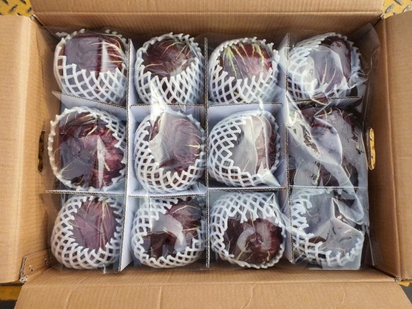 Bắp cải tím - Công Ty Cổ Phần Hikari Đà Lạt