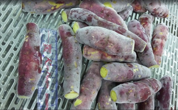 Khoai - Công Ty Cổ Phần Hikari Đà Lạt