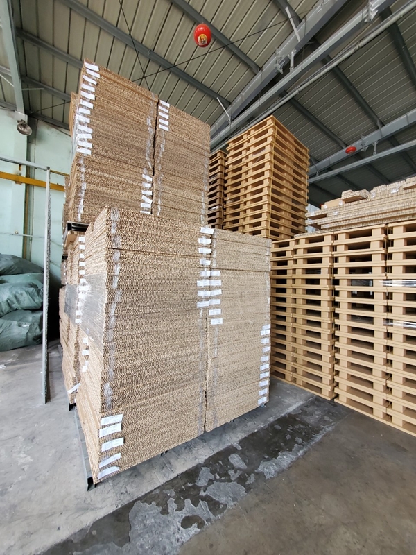 Pallet giấy tổ ong