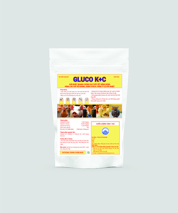 Gluco K+C