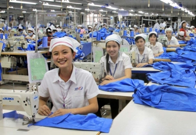 Xưởng sản xuất Bông Sợi Lê Việt - Bông Sợi Lê Việt - Công Ty TNHH Sản Xuất Thương Mại Bông Sợi Lê Việt