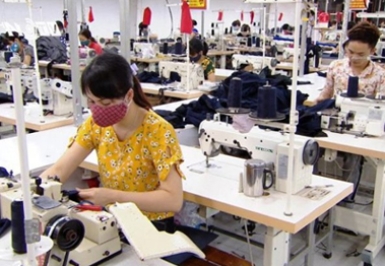 Xưởng sản xuất Bông Sợi Lê Việt - Bông Sợi Lê Việt - Công Ty TNHH Sản Xuất Thương Mại Bông Sợi Lê Việt