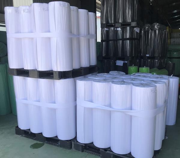 Hình ảnh nhà máy Biển Xanh - Vải Không Dệt Biển Xanh - Công Ty TNHH Xuất Nhập Khẩu Biển Xanh