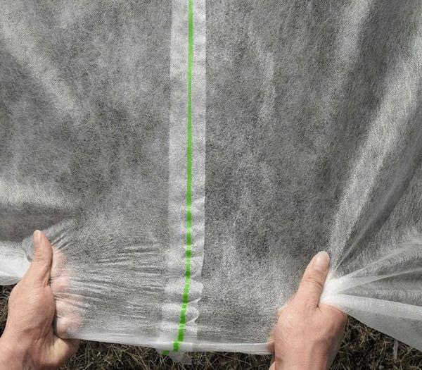 Vải không dệt PP nông nghiệp - Vải Không Dệt Biển Xanh - Công Ty TNHH Xuất Nhập Khẩu Biển Xanh