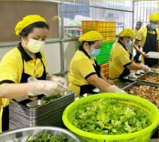 Hình ảnh nhân viên Phú Mỹ Gold - Suất ăn Công Nghiệp Phú Mỹ Gold - Công Ty CP Dịch Vụ Và Thương Mại Phú Mỹ Gold