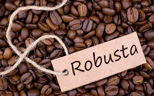 Cà phê Robusta