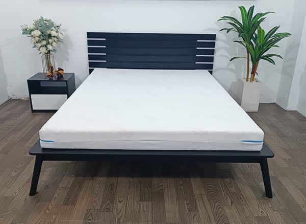 Nệm Foam cao cấp Massage Thắng Lợi - Nệm Cao Su Thắng Lợi - Công Ty TNHH AVATEX Việt Nam