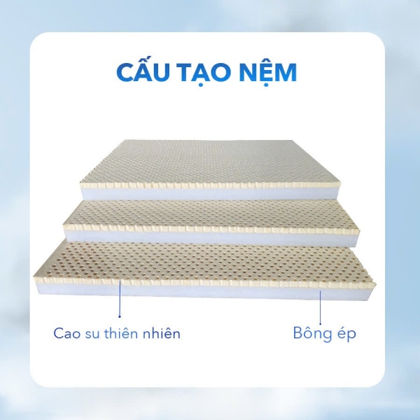 Nệm cao su bông ép Happy Dream - Công Ty TNHH Happy Home Mattress