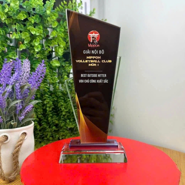 Cúp vinh danh