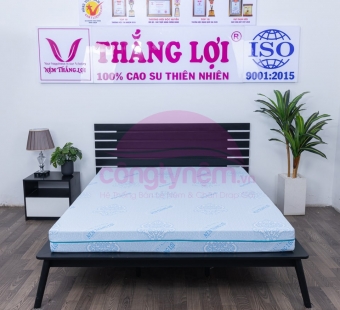 Nệm cao su thiên nhiên massage Rosi - Nệm Thắng Lợi - Công Ty Nệm Thắng Lợi