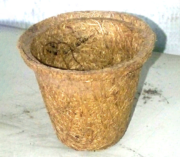 Ly ươm cây phi 8,5cm - Sản Phẩm Từ Dừa Kim Bôi - Công Ty Trách Nhiệm Hữu Hạn Kim Bôi Trà Vinh