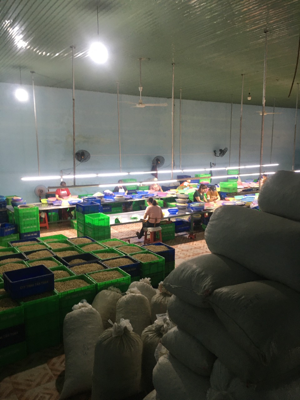 Quy trình sản xuất