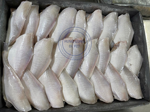 Cá da bò nguyên con không đầu đông lạnh đã làm sạch