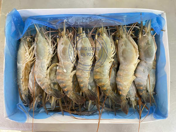 Tôm sú đông lạnh
