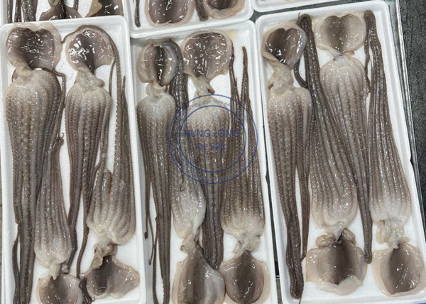 Mực mada đông lạnh đóng khay