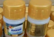 Ankur Gold - Chất siêu lản tỏa - Ấn Độ