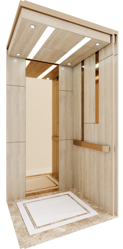 Thang máy hiện đại 01