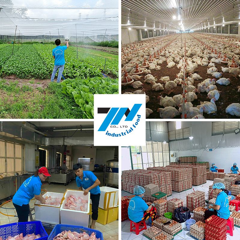 Thầu nấu ăn tại chỗ - Suất Ăn Công Nghiệp Thành Nam - Công Ty Cổ Phần Nông Sản Thực Phẩm Thành Nam