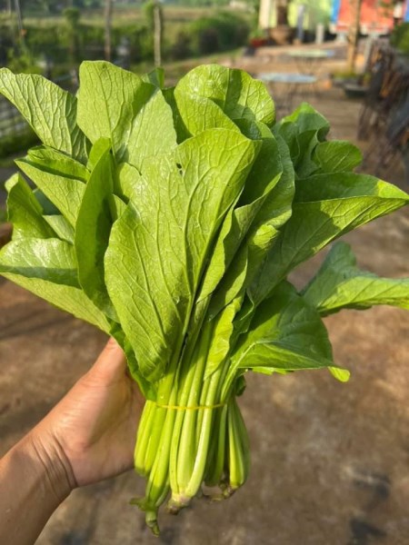 Thực Phẩm Khải Minh - Công Ty TNHH Thực Phẩm Khải Minh — hình ảnh từ trangvangvietnam.com
