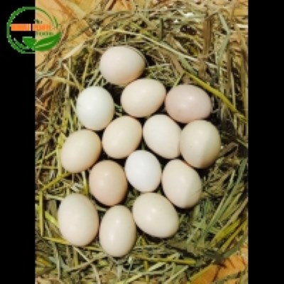 Trứng gà ta - Thực Phẩm Khải Minh - Công Ty TNHH Thực Phẩm Khải Minh