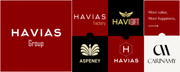 Logo Havias - Công Ty TNHH Havias