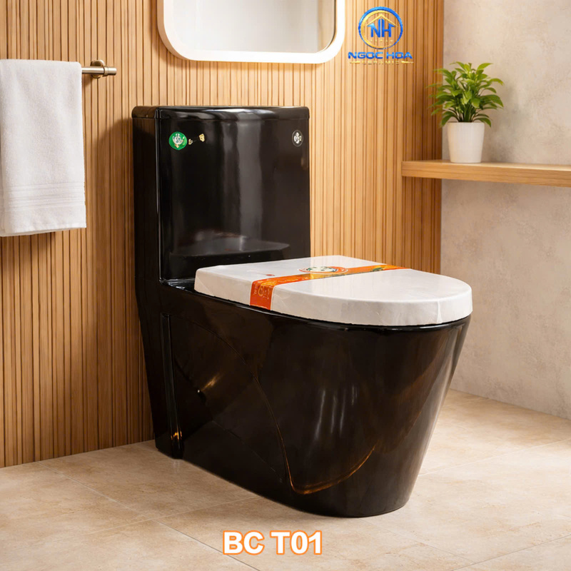 Bồn cầu liền khối T01