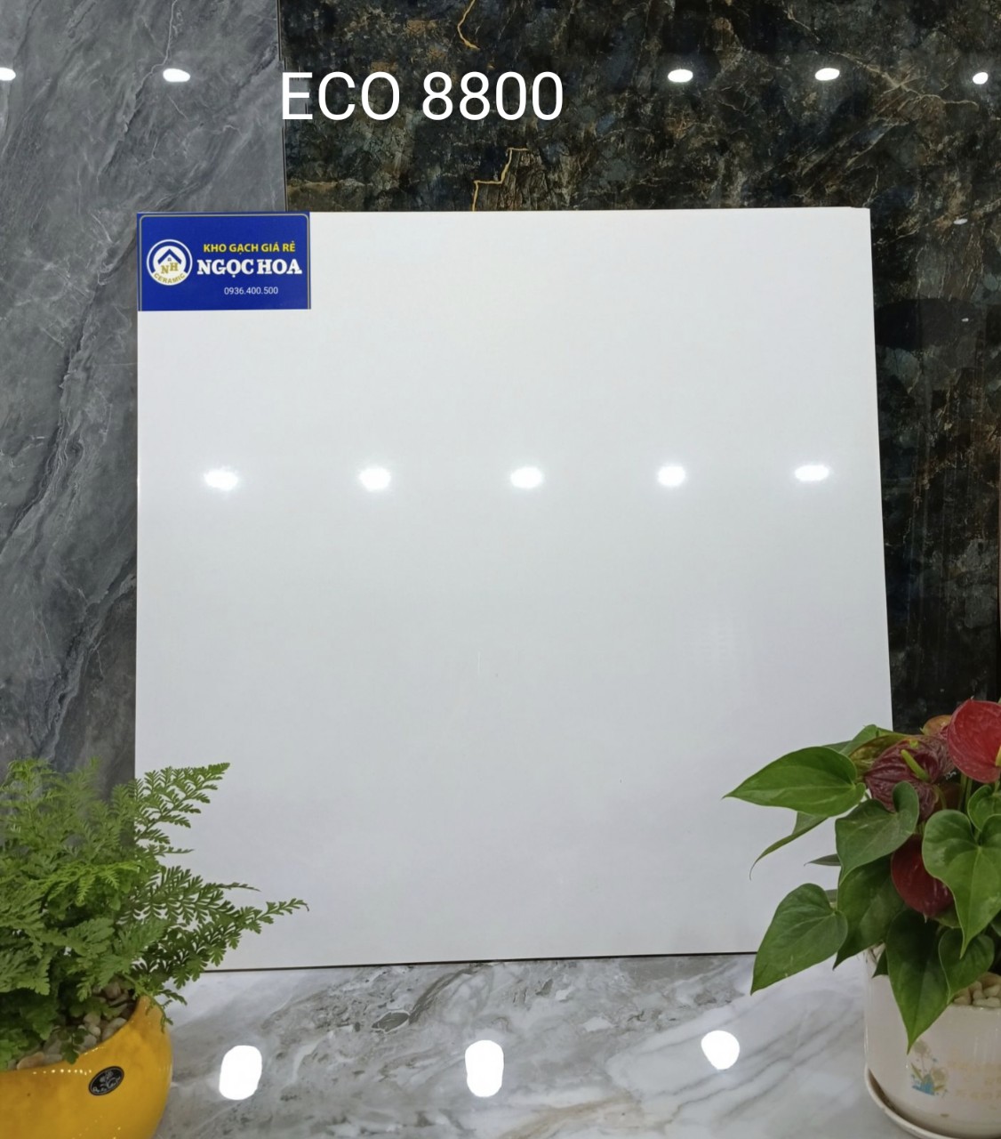 Gạch lát nền 8800 - Gạch Men Ngọc Hoa - Công Ty TNHH Gạch Men Ngọc Hoa