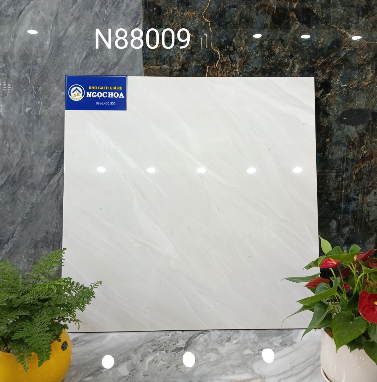 Gạch lát nền 88009 - Gạch Men Ngọc Hoa - Công Ty TNHH Gạch Men Ngọc Hoa