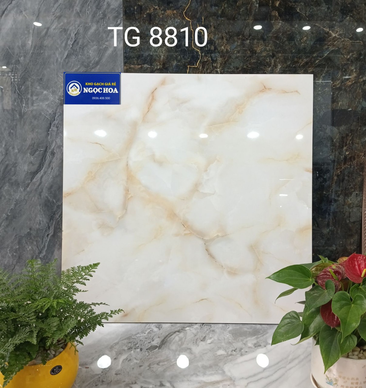 Gạch lát nền 8810 - Gạch Men Ngọc Hoa - Công Ty TNHH Gạch Men Ngọc Hoa