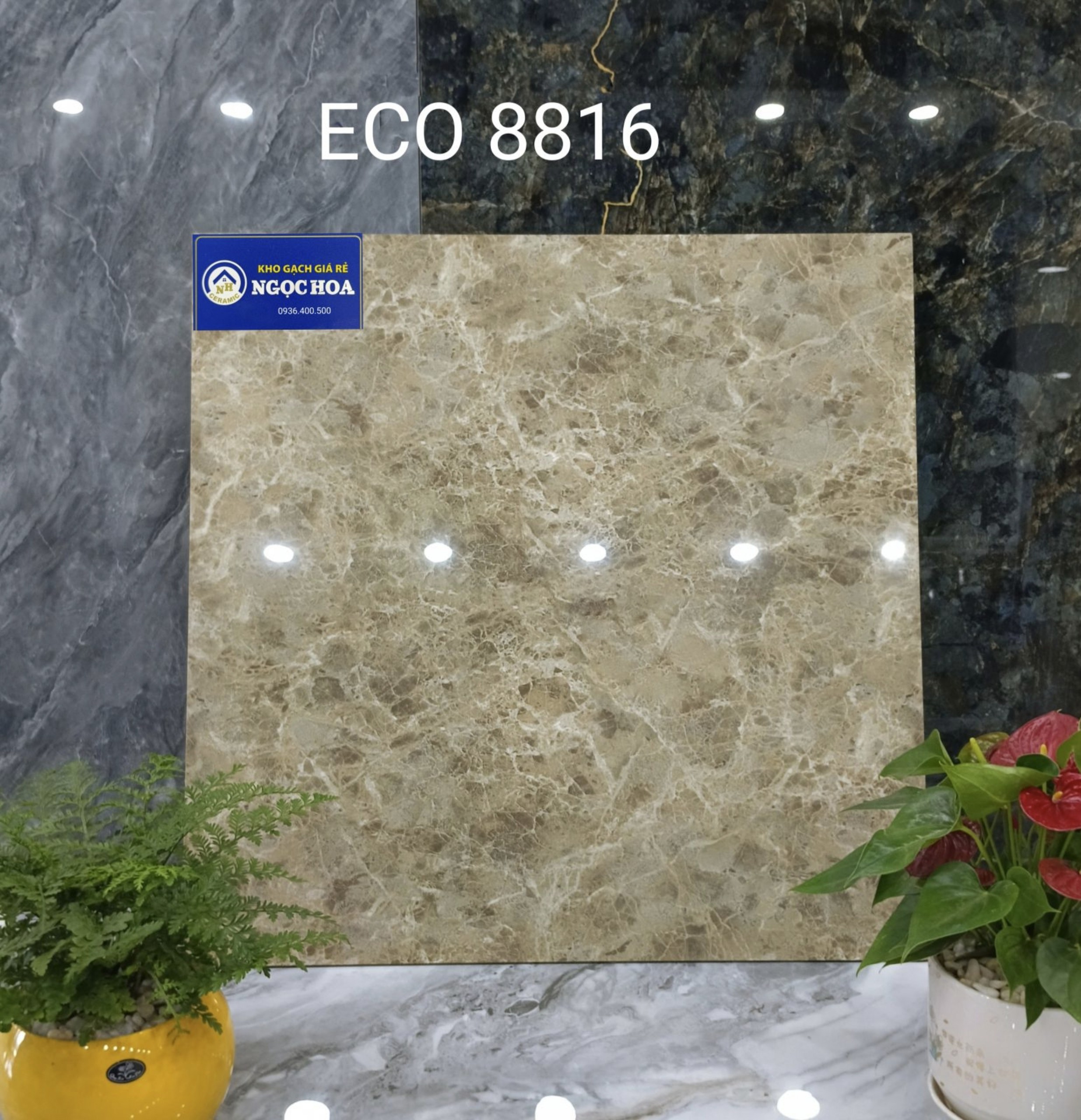 Gạch lát nền 8816 - Gạch Men Ngọc Hoa - Công Ty TNHH Gạch Men Ngọc Hoa