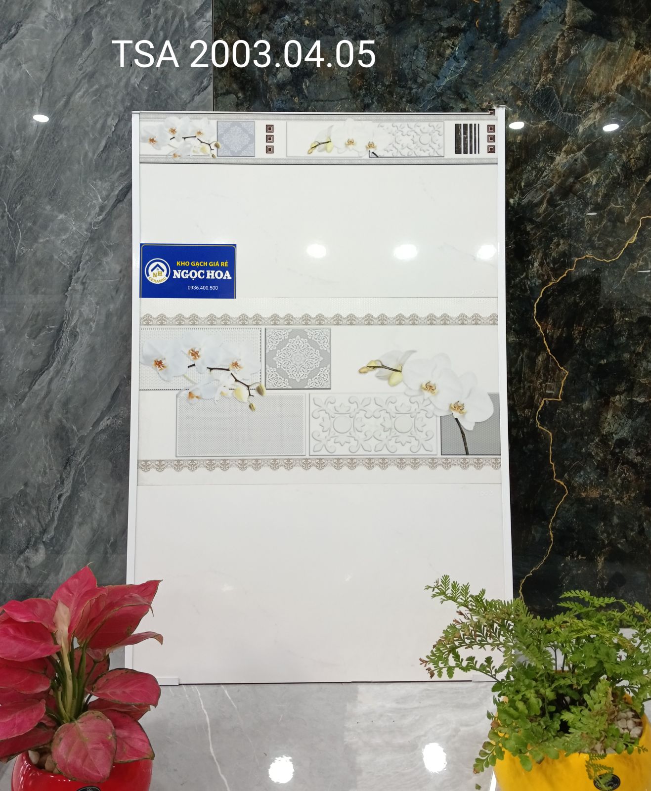 Gạch ốp tường 2003 - Gạch Men Ngọc Hoa - Công Ty TNHH Gạch Men Ngọc Hoa