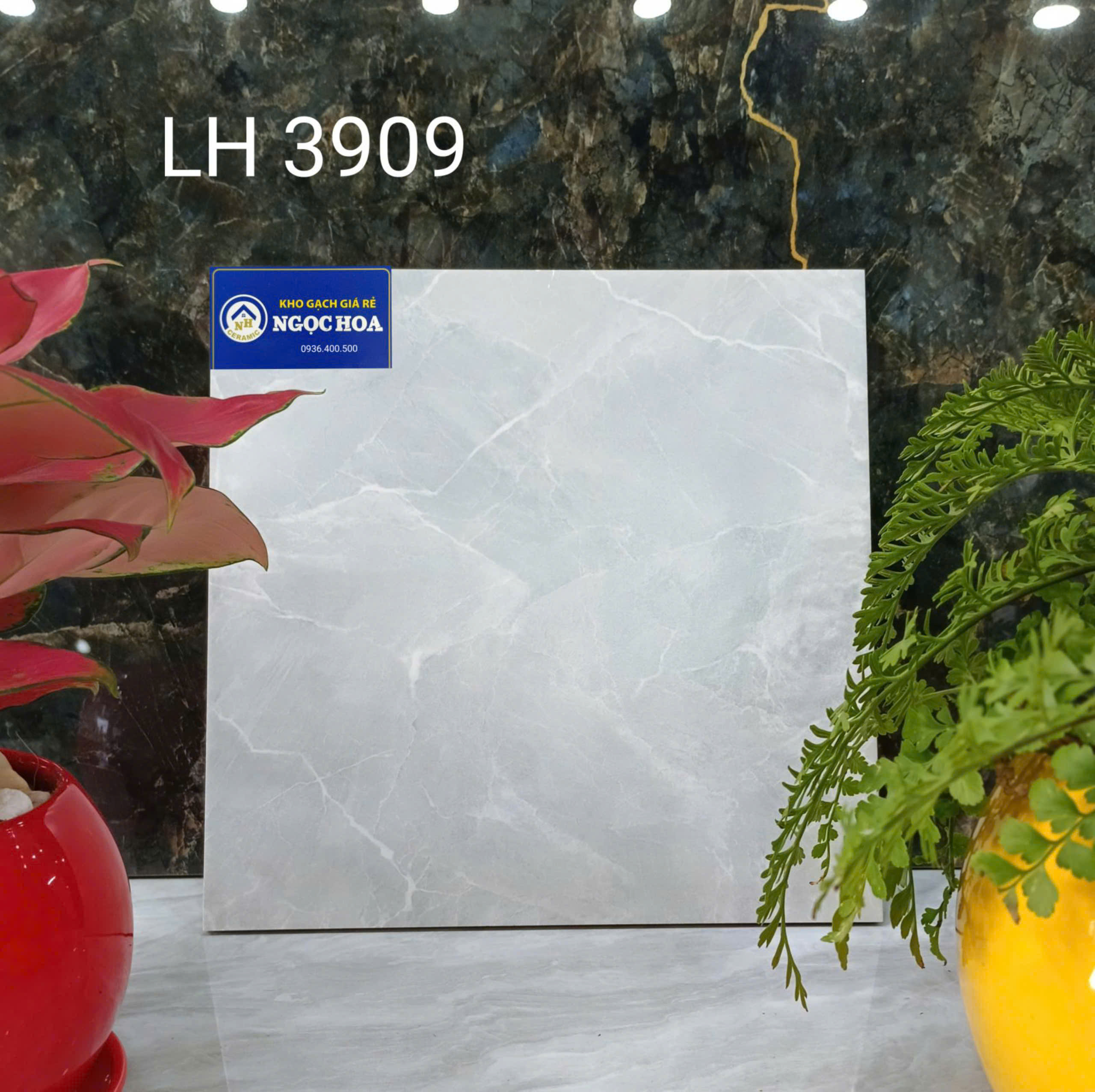 Gạch sàn nước 3909 - Gạch Men Ngọc Hoa - Công Ty TNHH Gạch Men Ngọc Hoa
