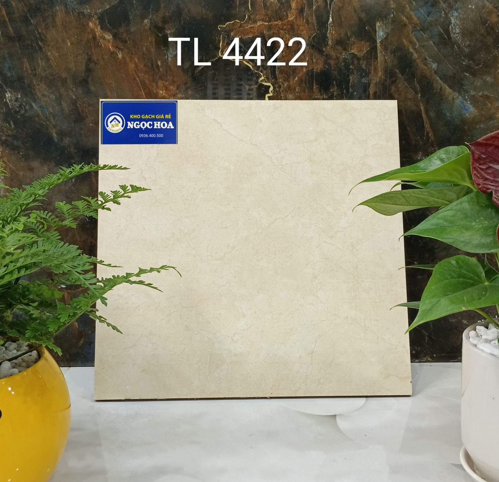 Gạch sàn nước 4422 - Gạch Men Ngọc Hoa - Công Ty TNHH Gạch Men Ngọc Hoa