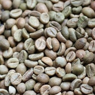 Nhân Arabica - Máy Rang Cà Phê Rio Roaster - Công Ty TNHH Cà Phê Rio Roaster