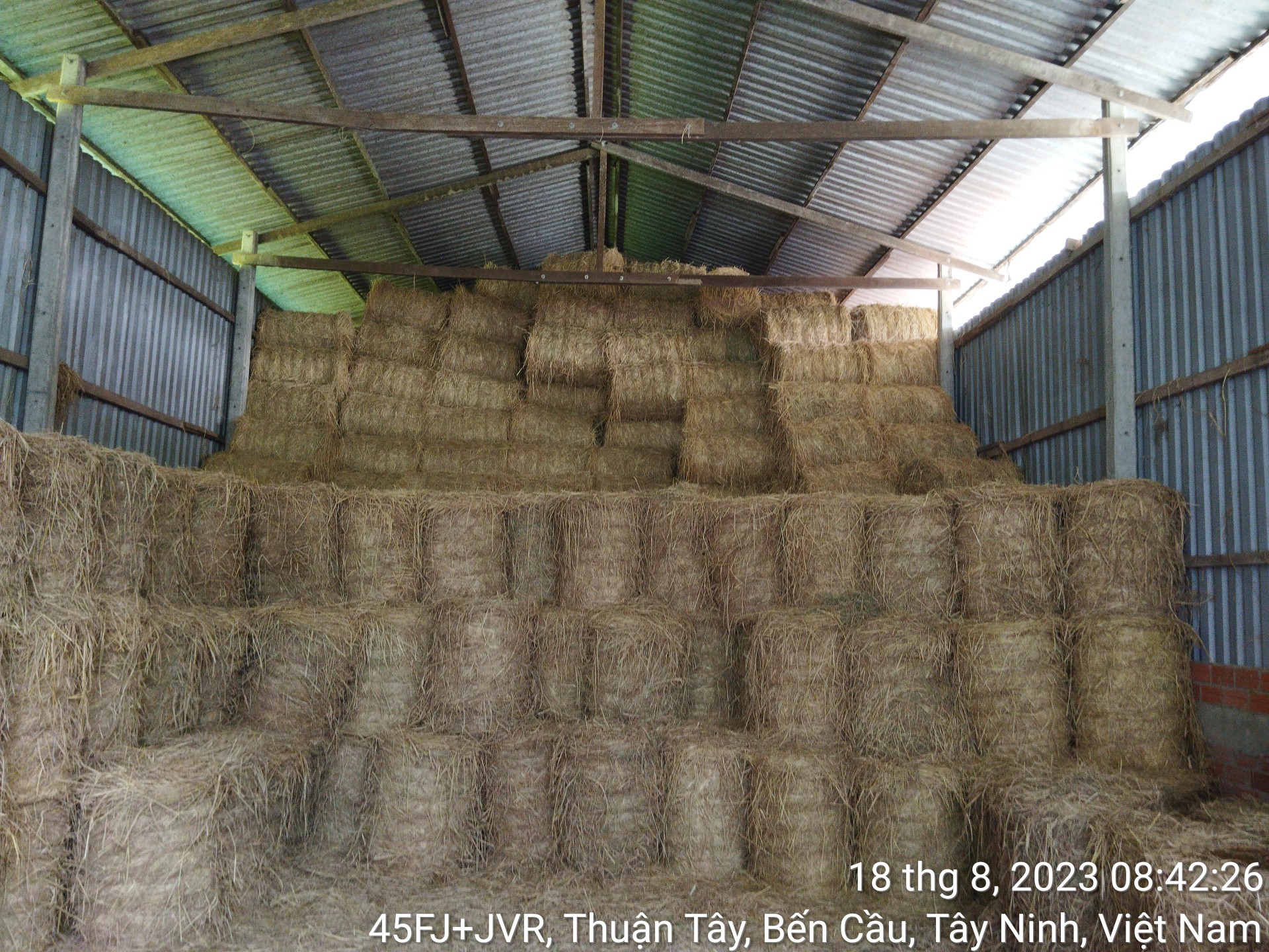  - Hộ Kinh Doanh Lê Quốc Phong