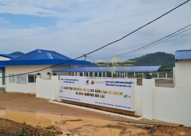 Trại công nghệ cao tập đoàn DE-HEUS - Tấm Đan Bê Tông KCF - Công Ty Cổ Phần Việt Nam KCF