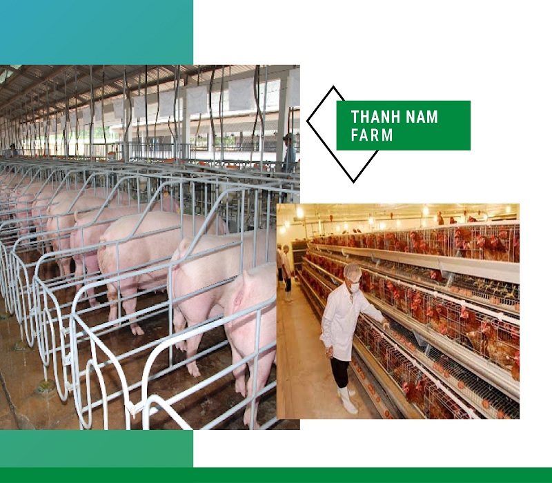 Hình ảnh công ty Thành Nam