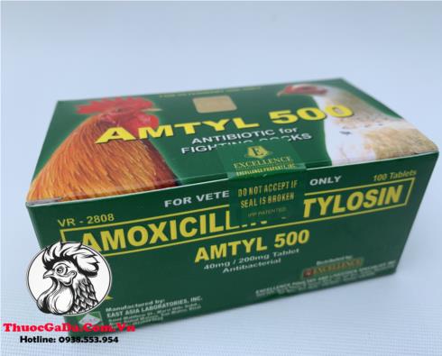 Thuốc trị bệnh cho gà AMTYL 500 - Thuốc Gà Đá Đại Thắng - Công Ty TNHH Kinh Doanh Tổng Hợp Đại Thắng