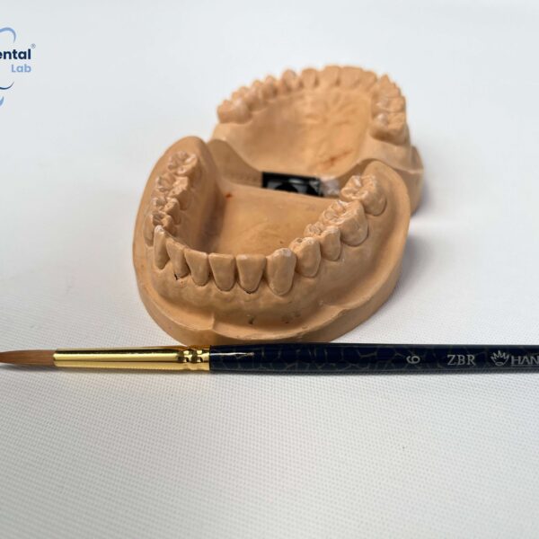 DT-0424 Cọ vẽ đắp sứ Buildup, dầu đầu tròn số 6 - Công Ty TNHH Kinh Doanh Tổng Hợp Đại Thắng - Viet Dental Lab