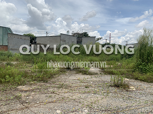 Cho thuê đất làm kho bãi 5.000m2 ở Hiệp Phước, HCM - Quý Lộc Vượng - Công Ty TNHH MTV Quý Lộc Vượng