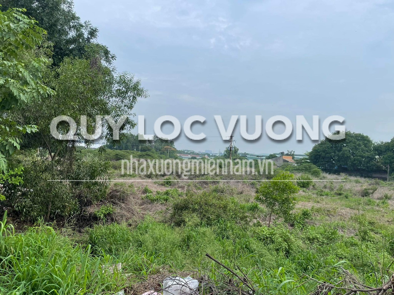Cho thuê đất 40.000m2 ở Tân Phước Khánh, Tân Uyên - Quý Lộc Vượng - Công Ty TNHH MTV Quý Lộc Vượng