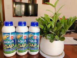 Aqua GAP trong nuôi trồng thủy sản - Hóa Chất Viên Phú Thịnh - Công Ty TNHH TM DV Viên Phú Thịnh