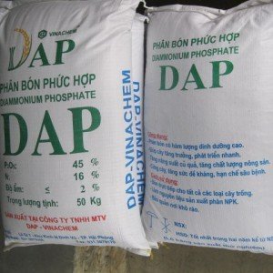 Phân bón DAP - Diammonium Phosphate