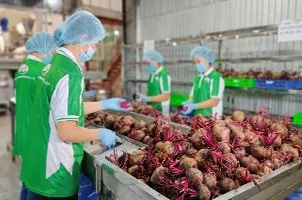 Dây chuyển sản xuất công ty Nawon